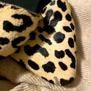 Leopard mules!